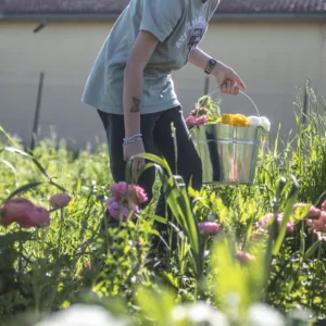 Kado-flower-farm-design-fiori-piacenza-autoraccolta-6