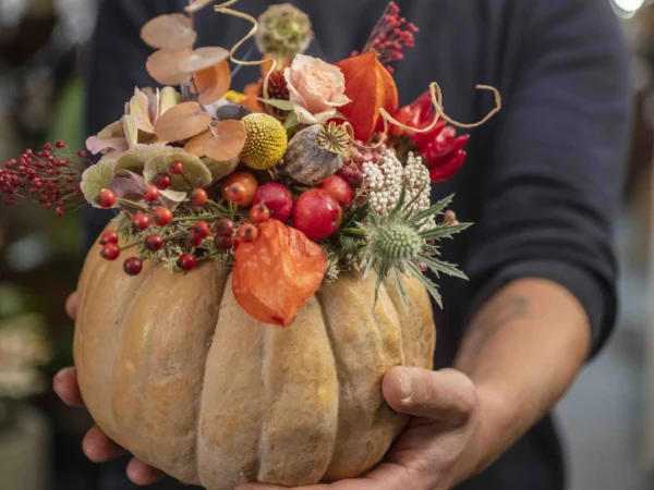 Kado-flower-farm-design-fiori-zucca-fiorita